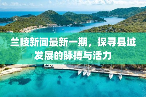 蘭陵新聞最新一期，探尋縣域發(fā)展的脈搏與活力