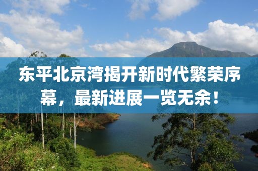 東平北京灣揭開新時代繁榮序幕，最新進(jìn)展一覽無余！