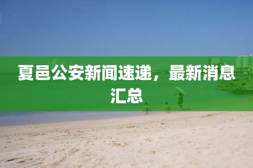 夏邑公安新聞速遞，最新消息匯總