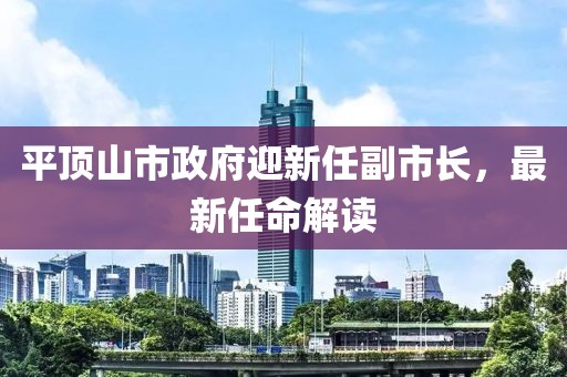 平頂山市政府迎新任副市長(zhǎng)，最新任命解讀