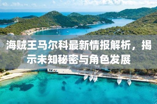 海賊王馬爾科最新情報解析，揭示未知秘密與角色發(fā)展