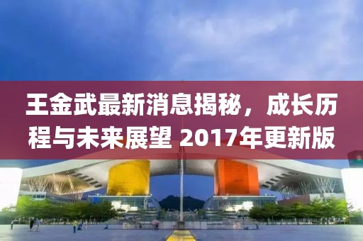 王金武最新消息揭秘，成長歷程與未來展望 2017年更新版