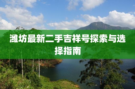 濰坊最新二手吉祥號(hào)探索與選擇指南