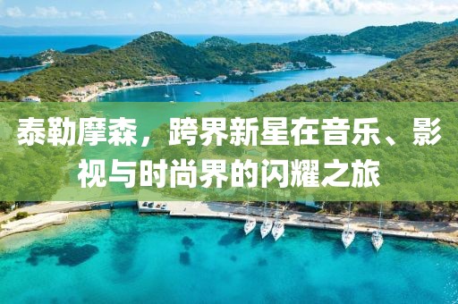 泰勒摩森，跨界新星在音樂(lè)、影視與時(shí)尚界的閃耀之旅