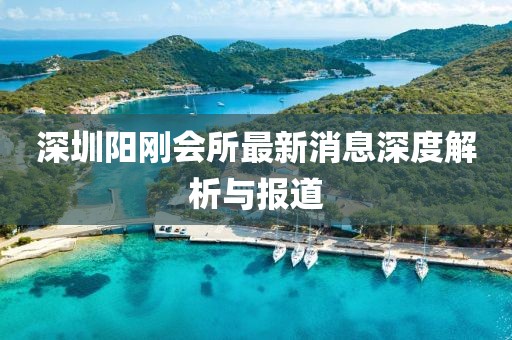 深圳陽剛會所最新消息深度解析與報道