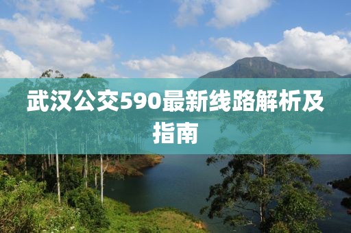 武漢公交590最新線路解析及指南