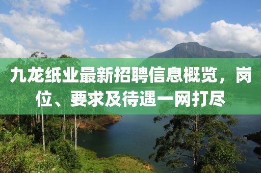 九龍紙業(yè)最新招聘信息概覽，崗位、要求及待遇一網(wǎng)打盡