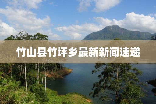 竹山縣竹坪鄉(xiāng)最新新聞速遞