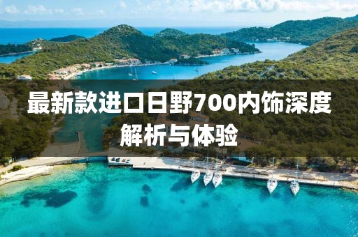 最新款進口日野700內(nèi)飾深度解析與體驗