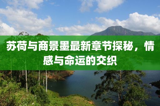 蘇荷與商景墨最新章節(jié)探秘，情感與命運的交織