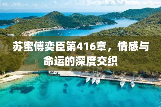 蘇蜜傅奕臣第416章，情感與命運的深度交織