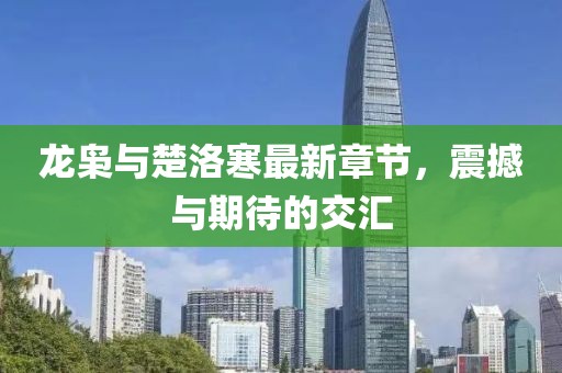 龍梟與楚洛寒最新章節(jié)，震撼與期待的交匯