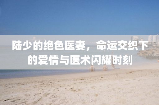 陸少的絕色醫(yī)妻，命運交織下的愛情與醫(yī)術(shù)閃耀時刻