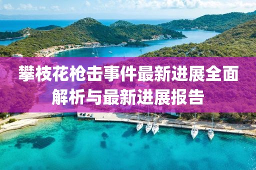 攀枝花槍擊事件最新進展全面解析與最新進展報告