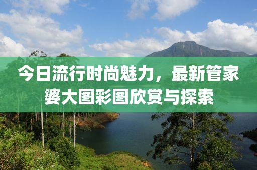 今日流行時尚魅力，最新管家婆大圖彩圖欣賞與探索