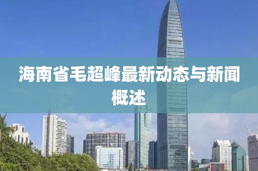 海南省毛超峰最新動(dòng)態(tài)與新聞概述