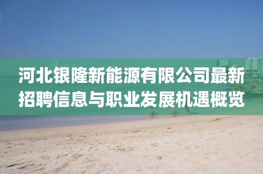河北銀隆新能源有限公司最新招聘信息與職業(yè)發(fā)展機遇概覽