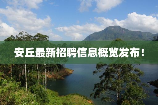 安丘最新招聘信息概覽發(fā)布！