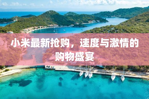 小米最新?lián)屬?gòu)，速度與激情的購(gòu)物盛宴
