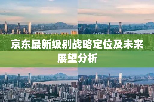 京東最新級(jí)別戰(zhàn)略定位及未來展望分析
