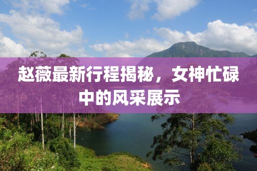 趙薇最新行程揭秘，女神忙碌中的風(fēng)采展示