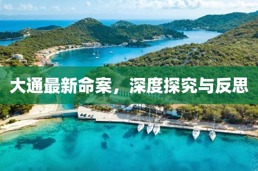 大通最新命案，深度探究與反思