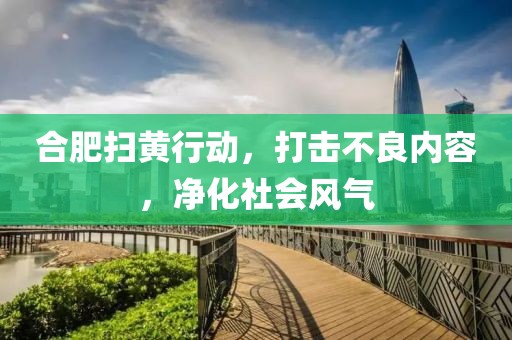 合肥掃黃行動，打擊不良內(nèi)容，凈化社會風(fēng)氣