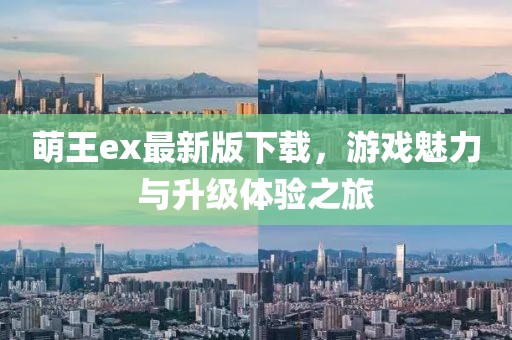 萌王ex最新版下載，游戲魅力與升級體驗(yàn)之旅