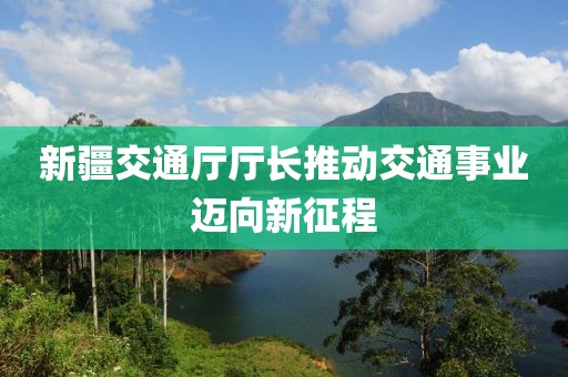 新疆交通廳廳長推動交通事業(yè)邁向新征程