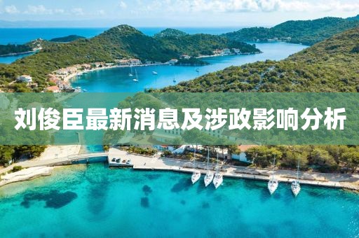 劉俊臣最新消息及涉政影響分析