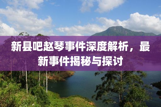 新縣吧趙琴事件深度解析，最新事件揭秘與探討