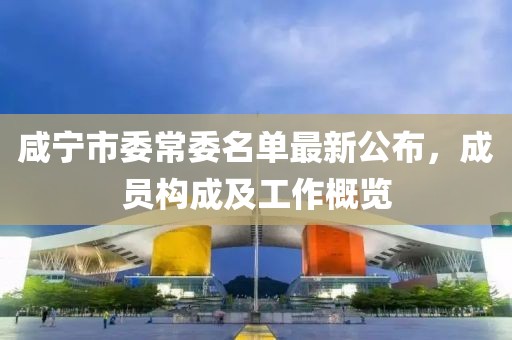 咸寧市委常委名單最新公布，成員構(gòu)成及工作概覽