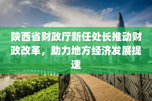 陜西省財政廳新任處長推動財政改革，助力地方經(jīng)濟發(fā)展提速