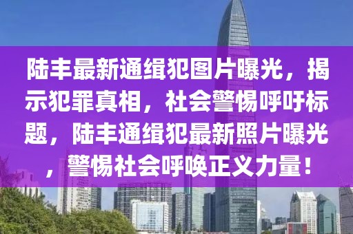 陸豐最新通緝犯圖片曝光，揭示犯罪真相，社會警惕呼吁標(biāo)題，陸豐通緝犯最新照片曝光，警惕社會呼喚正義力量！