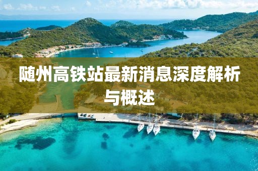 隨州高鐵站最新消息深度解析與概述