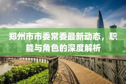 鄭州市市委常委最新動態(tài)，職能與角色的深度解析