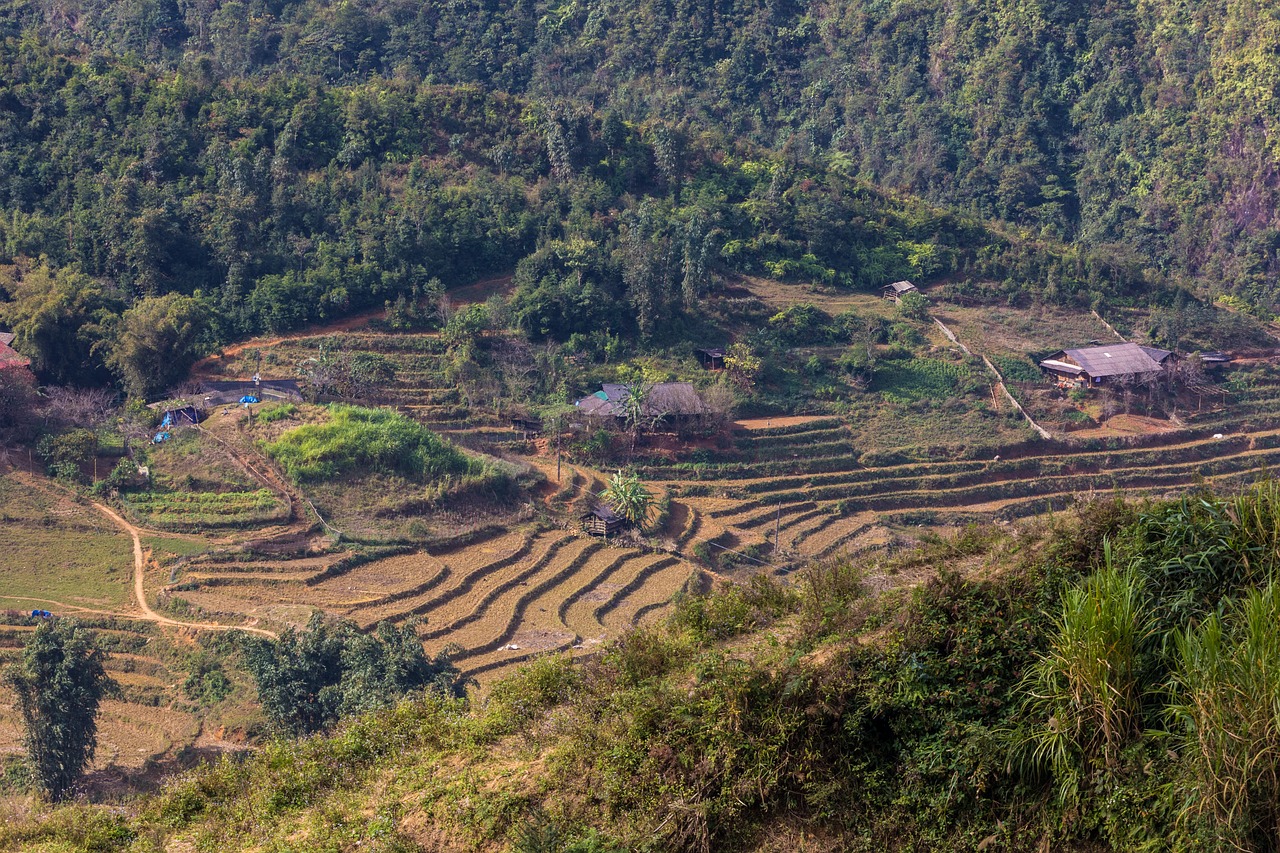 符離鎮(zhèn)最新規(guī)劃圖揭曉，展望繁榮未來，符離鎮(zhèn)2016規(guī)劃展望