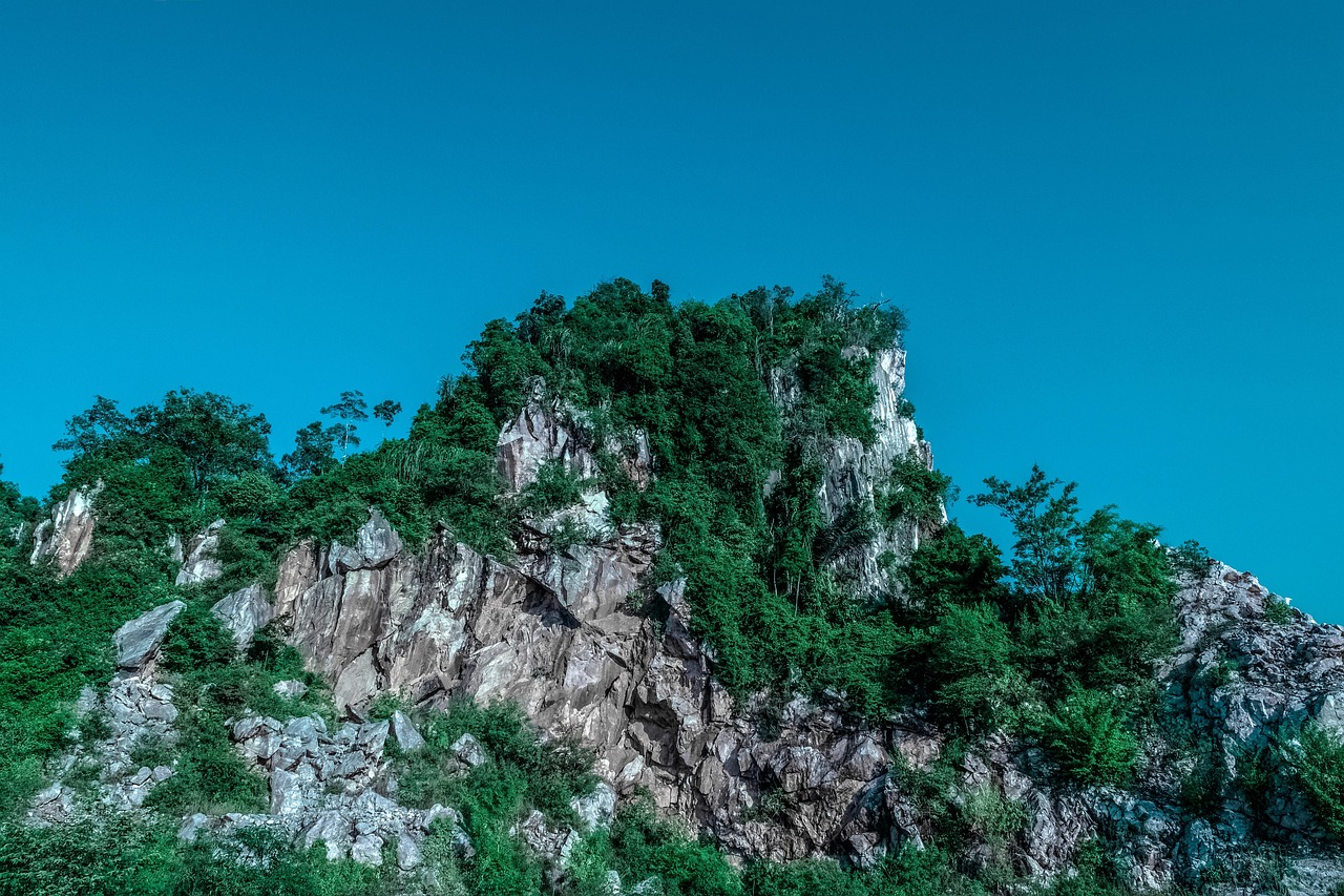 傳藝科技股票最新消息綜述，掌握最新動態(tài)，洞悉股市走向